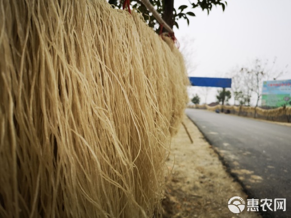 安徽特产红薯地瓜粉丝粉条牛肉汤粉丝鸭血粉丝专用5 0斤批发