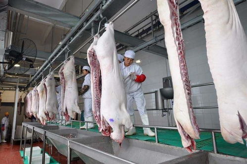 肉制品厂蒸汽流量计知名品牌厦门精川与福建大型猪肉储备企业合作多套流量计